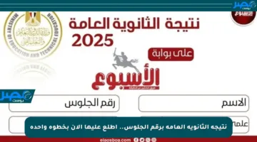 نتيجة الثانوية العامة برقم الجلوس.. اطلع عليها الآن بخطوة واحدة